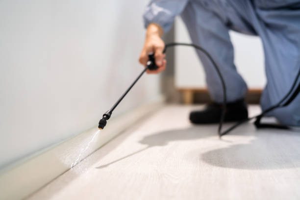 Licensed Pest Control service in Olton, TX - Show Me Pest Control