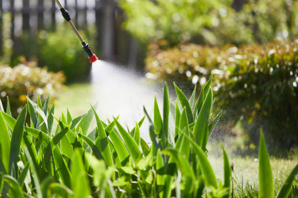 Tamper-Resistant Bait Stations for Rodents in Olton