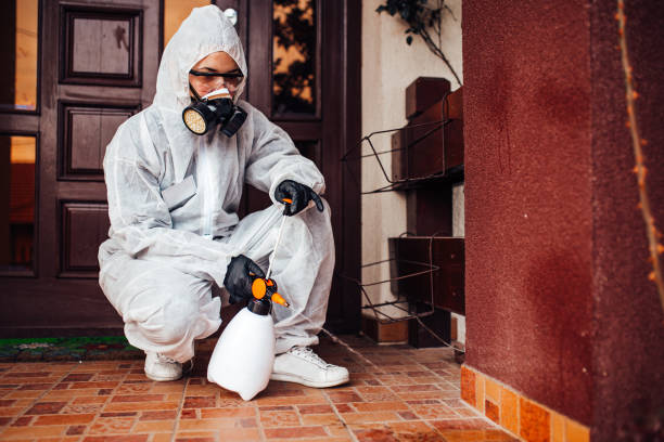 Attic and Crawl Space Rodent Treatment in Olton